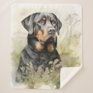 Beautiful Rottweiler Sherpadecke