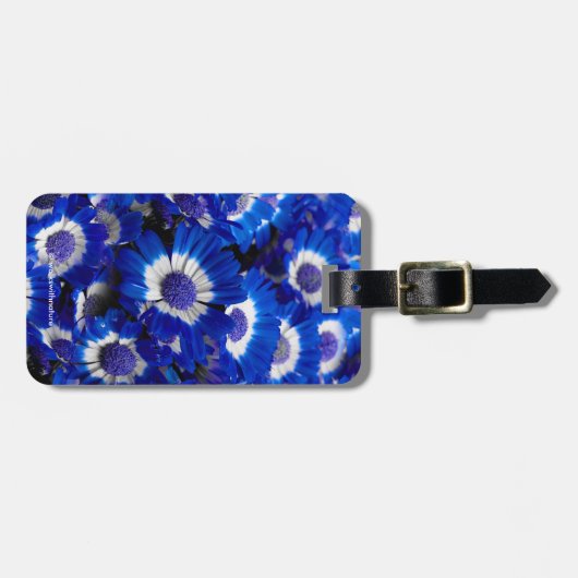 Beautiful Royal Blue Cineraria Blume Gepäckanhänger (Vorderseite horizontal)