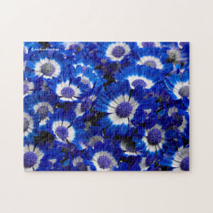 Beautiful Royal Blue Cineraria Blume Puzzle
