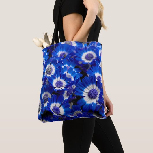 Beautiful Royal Blue Cineraria Blume Tasche (Von Nahem)