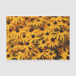Beautiful Rudbeckias Yellow Coneflowers Seidenpapier