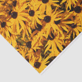 Beautiful Rudbeckias Yellow Coneflowers Seidenpapier (Ausschnitt)