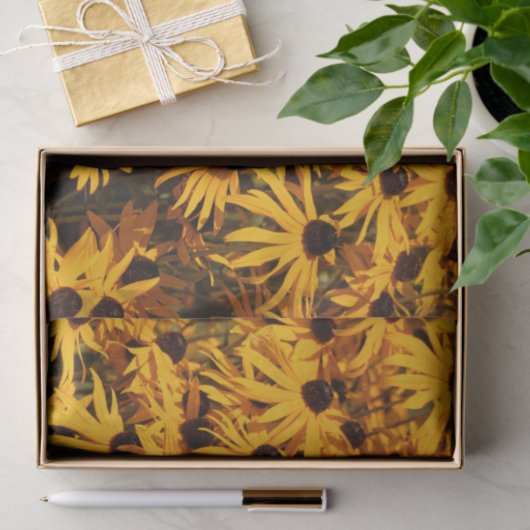 Beautiful Rudbeckias Yellow Coneflowers Seidenpapier (Geschenk)