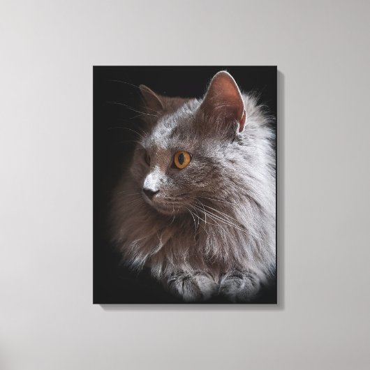 Beautiful Russian Blue Gray Cat Nebelung Leinwanddruck (Vorderseite)