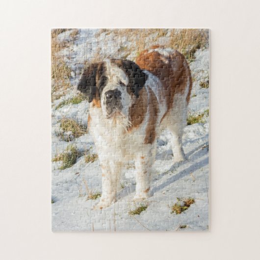Beautiful Saint Bernard Hund Puzzle (Vertikal)