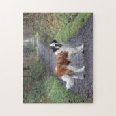 Beautiful Saint Bernard Hund Puzzle (Vertikal)