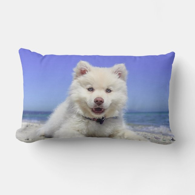 Beautiful Samoyed Dog Lendenkissen (Vorderseite)