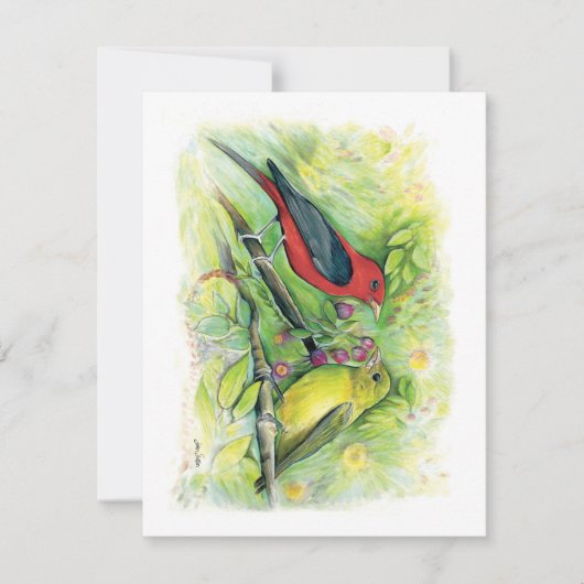 Beautiful Scarlet Tanager Couple Note Card (Vorderseite)