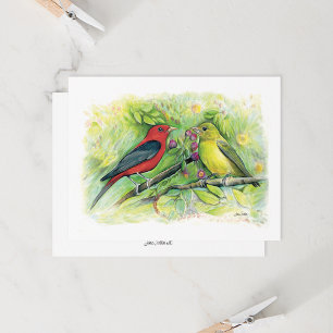 Beautiful Scarlet Tanager Couple Note Card