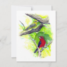 Beautiful Scarlet Tanager Couple Note Card