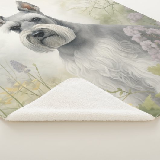 Beautiful Schnauzer Sherpadecke (3/4)