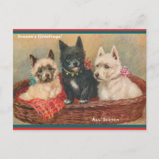 Beautiful Scottie Hunde Vintages Gemälde Urlaub Postkarte