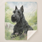 Beautiful Scottie Sherpadecke (Vorderseite)