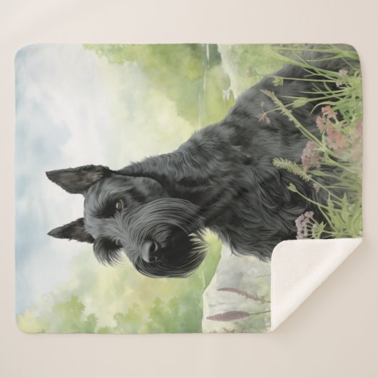 Beautiful Scottie Sherpadecke (Vorderseite (Horizontal))