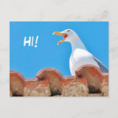 Beautiful Seagull - Hello Postcard Postkarte (Vorderseite)