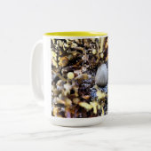 Beautiful Seashell Zweifarbige Tasse (Vorderseite Links)