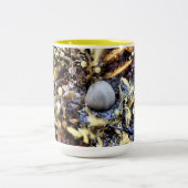 Beautiful Seashell Zweifarbige Tasse (Mittel)