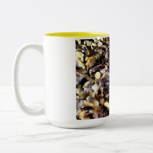 Beautiful Seashell Zweifarbige Tasse (Links)