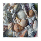 Beautiful Seashells Sea Life Square Fliese (Vorderseite)