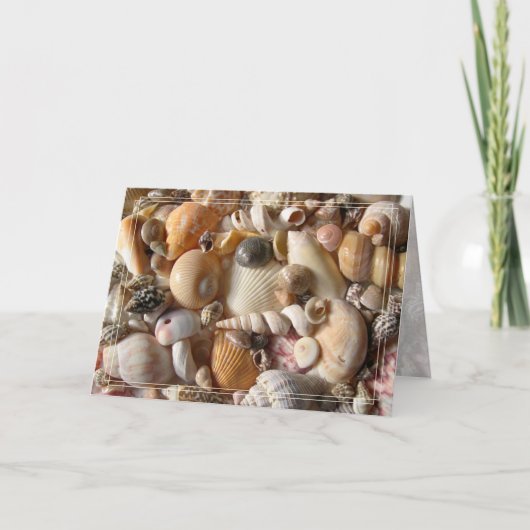 Beautiful Seashells Tropical Collection Note Card Karte (Vorderseite)