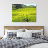 Beautiful Senf Seed Fields California Foto Leinwanddruck (Insitu (Schlafzimmer))