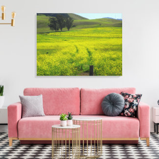Beautiful Senf Seed Fields California Foto Leinwanddruck