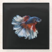 Beautiful Siamese Betta Fish Glasuntersetzer (Vorderseite)