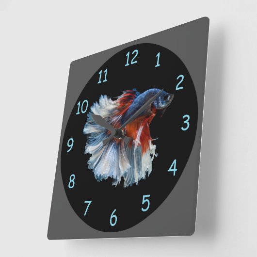 Beautiful Siamese Betta Fish Quadratische Wanduhr (Winkel)