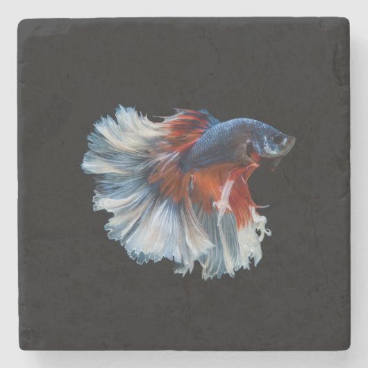Beautiful Siamese Betta Fish Steinuntersetzer (Vorderseite)