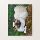 Beautiful Siamese Cat Photo Puzzle (Vertikal)