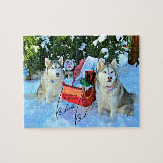 Beautiful Siberian Huskies Puzzle (Horizontal)