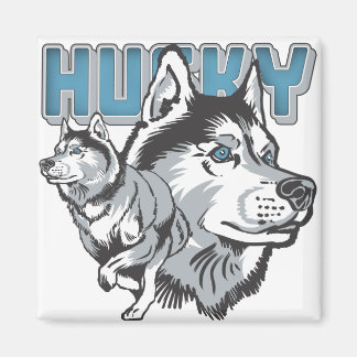 Beautiful Siberian Husky Magnet