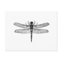 Beautiful & Simple Vintage Dragonfly