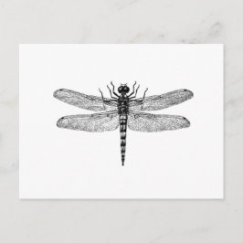 Beautiful & Simple Vintage Dragonfly Postkarte