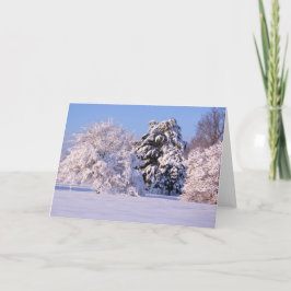 Beautiful Snow Scene Photo Karte