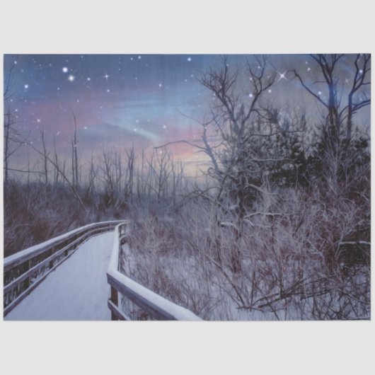 Beautiful Snowy Woods Rustic Winter Decoupage Seidenpapier (Vorderseite)