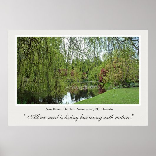Beautiful soft, green spring willow tree and pond. poster (Vorne)