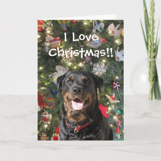 Beautiful Spirit Rottweiler Weihnachtskarte Feiertagskarte (Vorderseite)