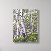 Beautiful Spring Aspen Trees Canvas Print Leinwanddruck (Vorderseite)