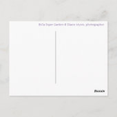 Beautiful Spring Tulips Orange Lila Postkarte (Rückseite)