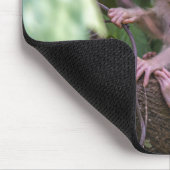 Beautiful Stump Tail Macaque Mousepad (Ecke)
