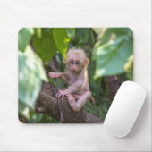 Beautiful Stump Tail Macaque Mousepad (Mit Mouse)