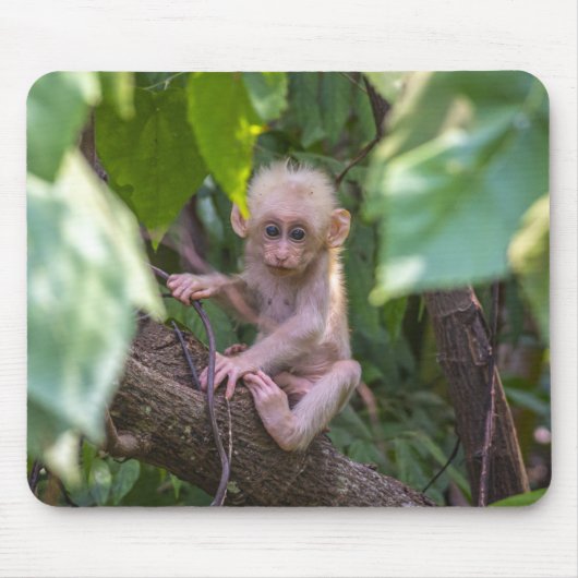 Beautiful Stump Tail Macaque Mousepad (Vorne)