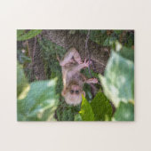 Beautiful Stump Tail Macaque Puzzle (Horizontal)