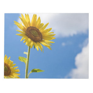 Beautiful Sun Flowers With Cloudy Blue Notizblock