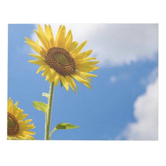 Beautiful Sun Flowers With Cloudy Blue Notizblock (Vorderseite)