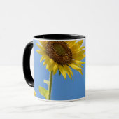Beautiful Sun Flowers With Cloudy Blue Tasse (Vorderseite Links)