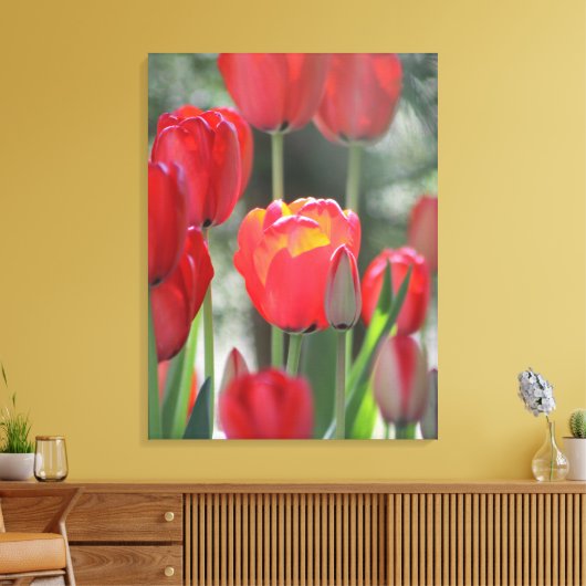 Beautiful Sunlit Red Tulip Canvas Print Leinwanddruck (Insitu (Wohnzimmer))