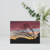 Beautiful sunset postcard postkarte (Stehend Vorderseite)