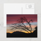 Beautiful sunset postcard postkarte (Vorne/Hinten)